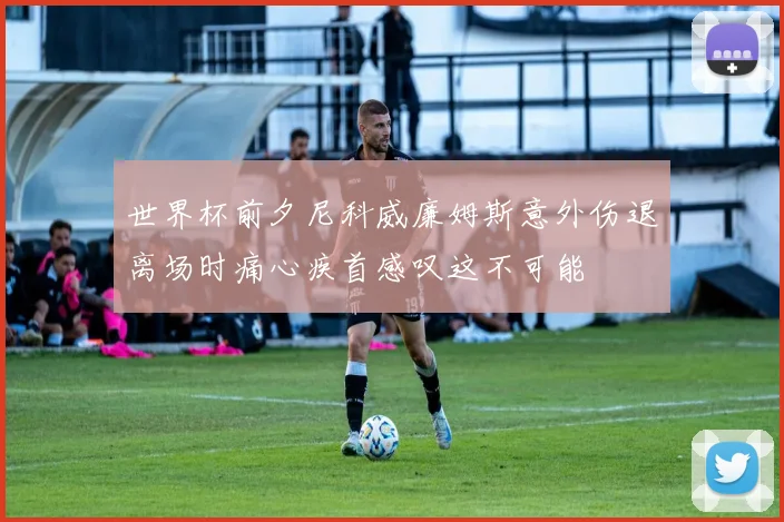世界杯前夕尼科威廉姆斯意外伤退离场时痛心疾首感叹这不可能