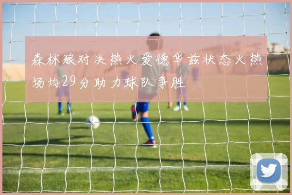 森林狼对决热火爱德华兹状态火热场均29分助力球队争胜